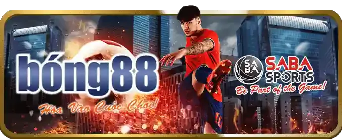 Tổng quan về đá gà trực tuyến Awin456